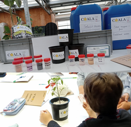 Captura de pantalla 2026-03-24 125123